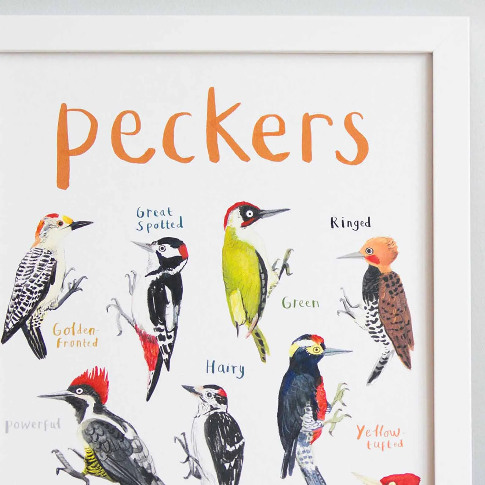 Poster / Print - Fun Puns - Birds - Peckers