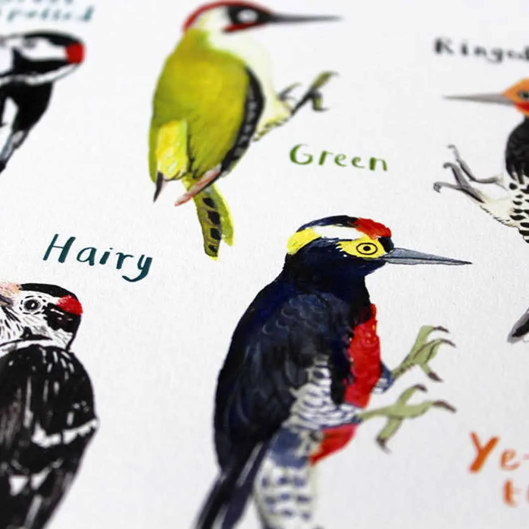 Poster / Print - Fun Puns - Birds - Peckers