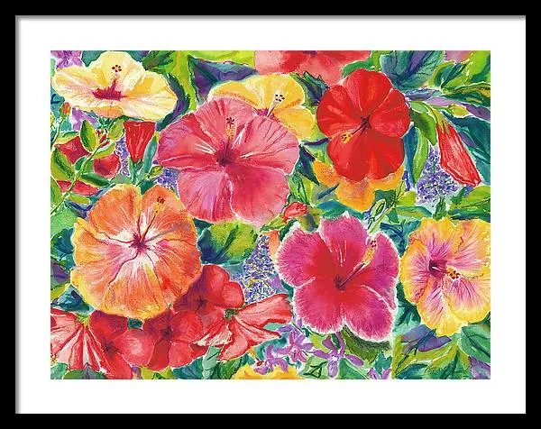 "Hibiscus Impressions" Tropical Hawaii Flowers - Framed Print