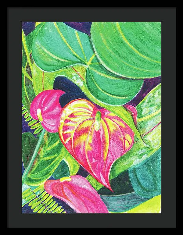 "Pink Anthurium" Popular Tropical Flower in Hawaii - Framed Print