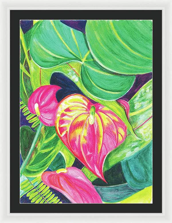 "Pink Anthurium" Popular Tropical Flower in Hawaii - Framed Print