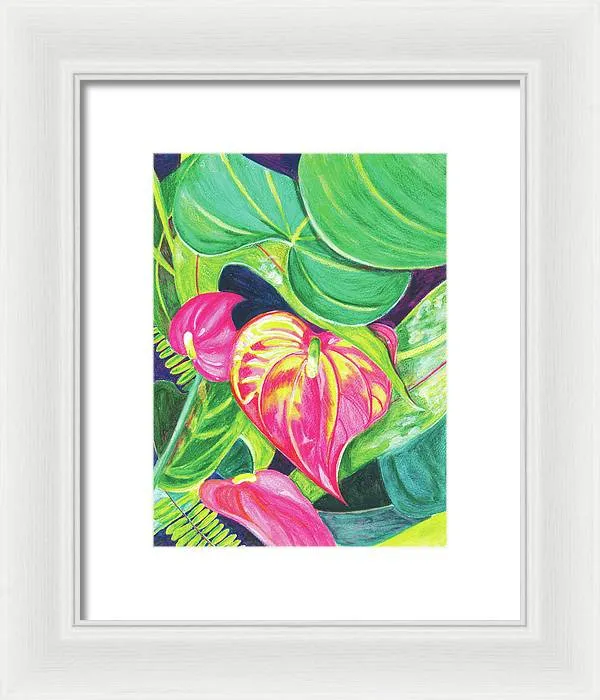 "Pink Anthurium" Popular Tropical Flower in Hawaii - Framed Print