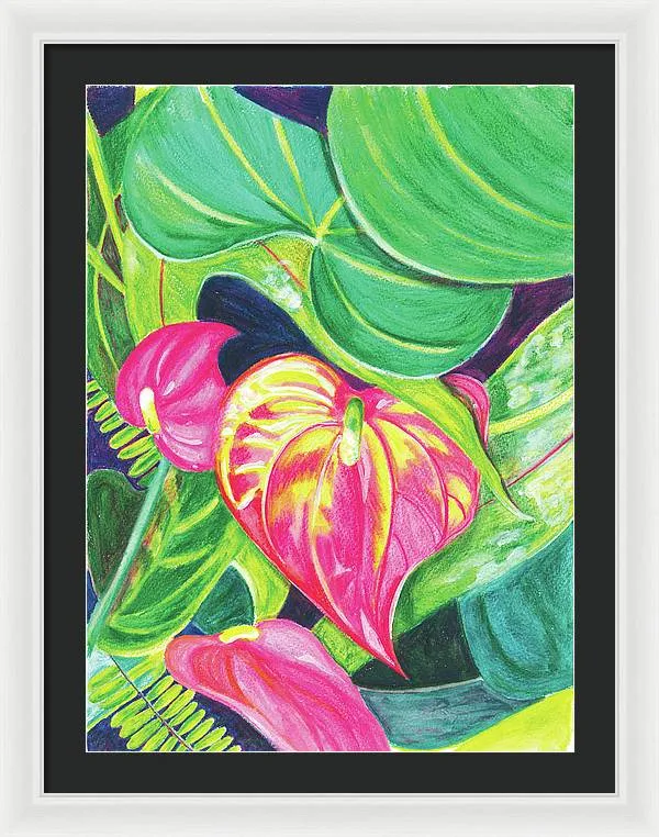 "Pink Anthurium" Popular Tropical Flower in Hawaii - Framed Print