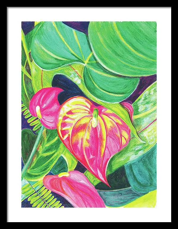 "Pink Anthurium" Popular Tropical Flower in Hawaii - Framed Print