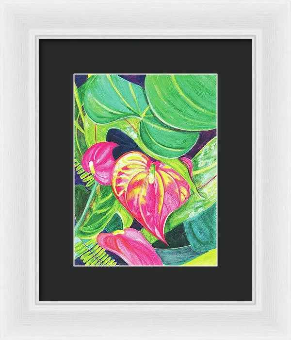 "Pink Anthurium" Popular Tropical Flower in Hawaii - Framed Print