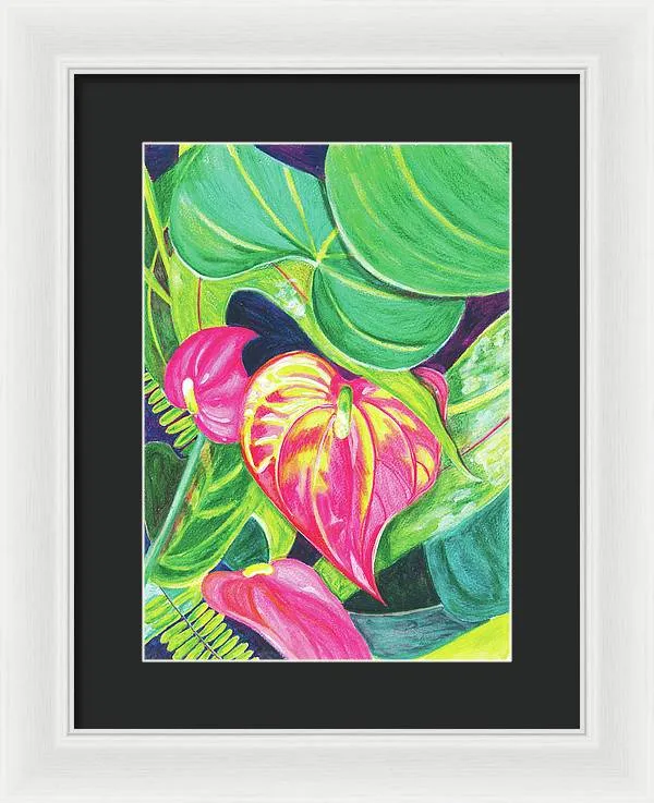"Pink Anthurium" Popular Tropical Flower in Hawaii - Framed Print