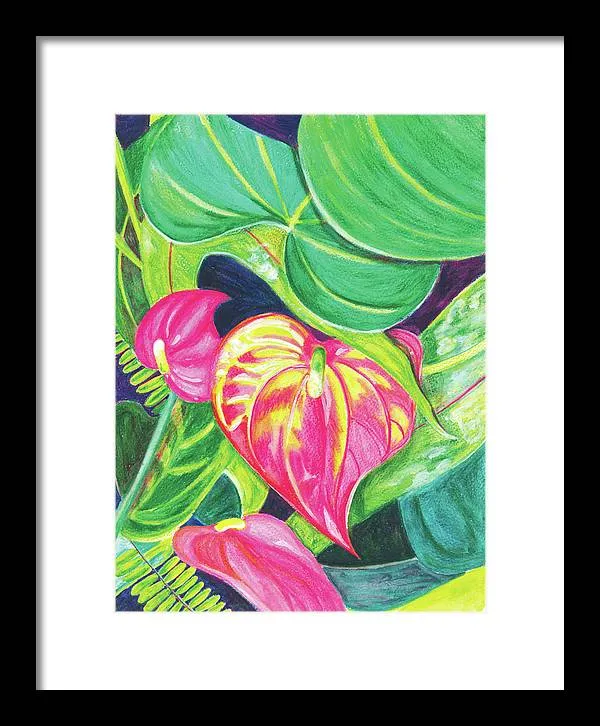 "Pink Anthurium" Popular Tropical Flower in Hawaii - Framed Print