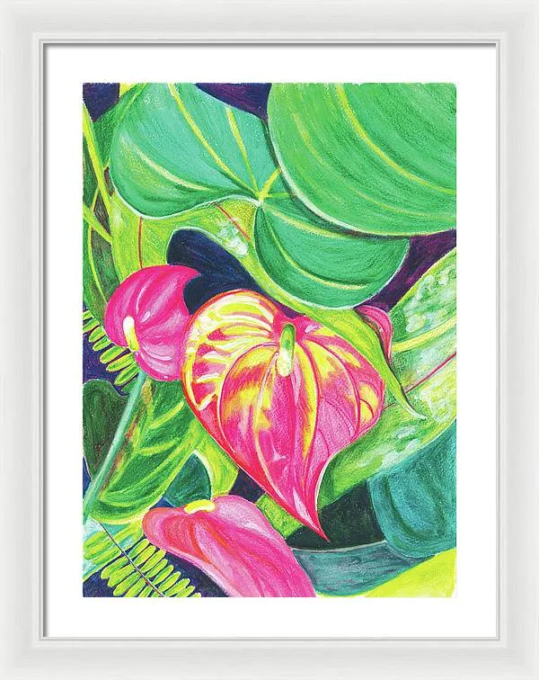 "Pink Anthurium" Popular Tropical Flower in Hawaii - Framed Print