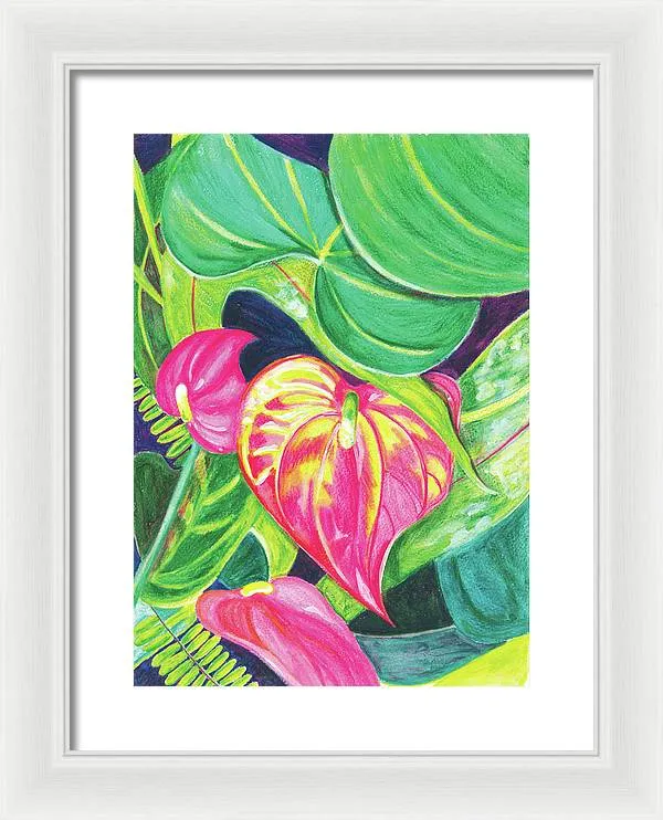 "Pink Anthurium" Popular Tropical Flower in Hawaii - Framed Print