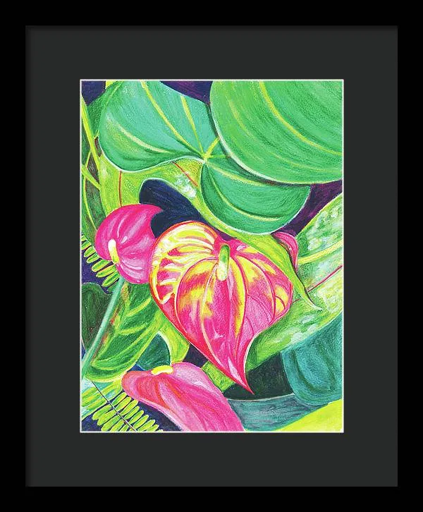 "Pink Anthurium" Popular Tropical Flower in Hawaii - Framed Print