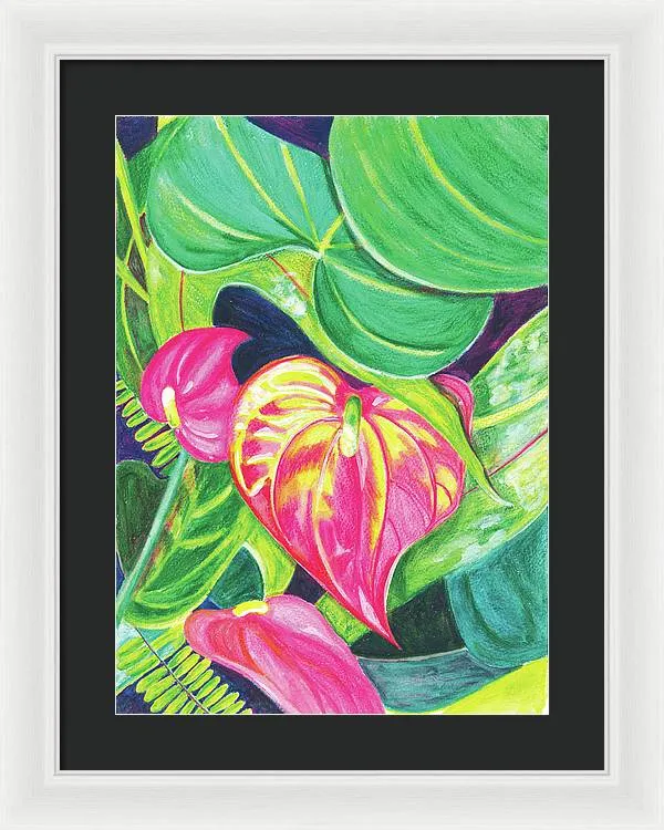 "Pink Anthurium" Popular Tropical Flower in Hawaii - Framed Print
