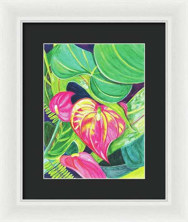 "Pink Anthurium" Popular Tropical Flower in Hawaii - Framed Print