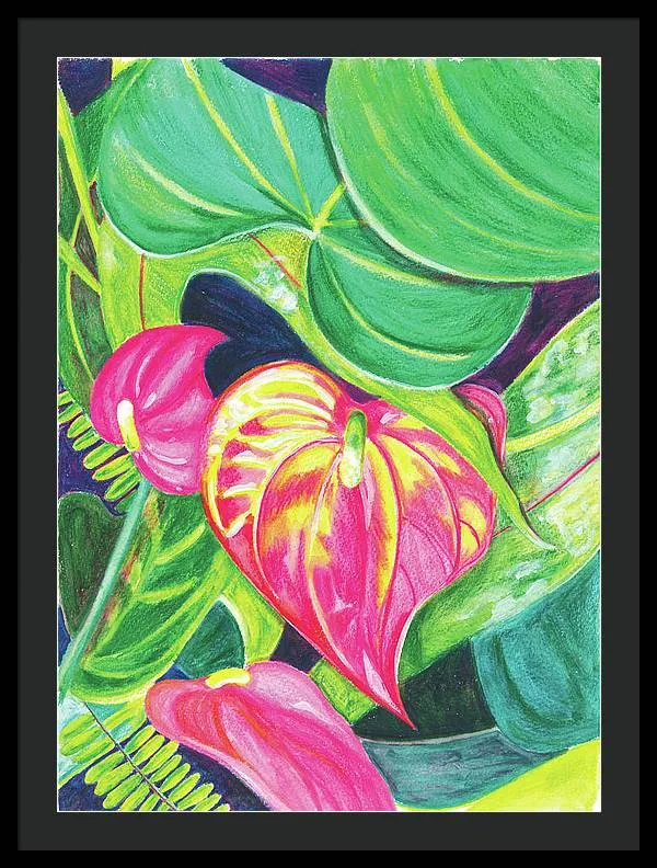 "Pink Anthurium" Popular Tropical Flower in Hawaii - Framed Print
