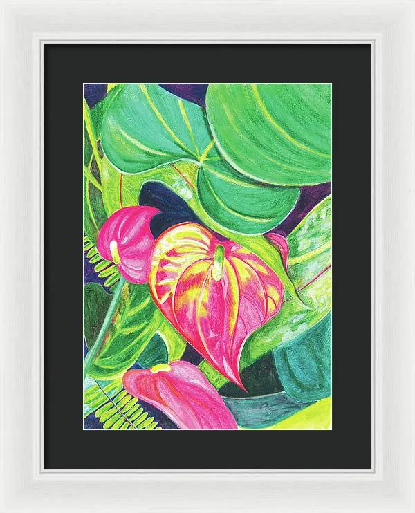 "Pink Anthurium" Popular Tropical Flower in Hawaii - Framed Print