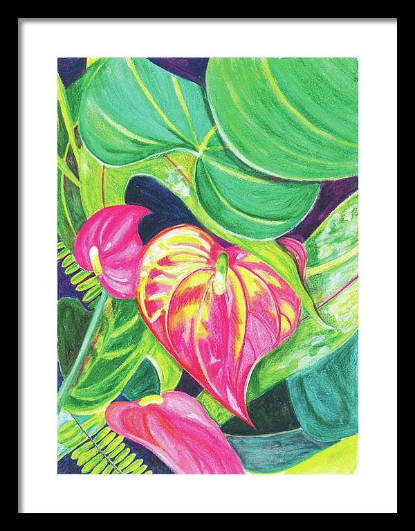 "Pink Anthurium" Popular Tropical Flower in Hawaii - Framed Print