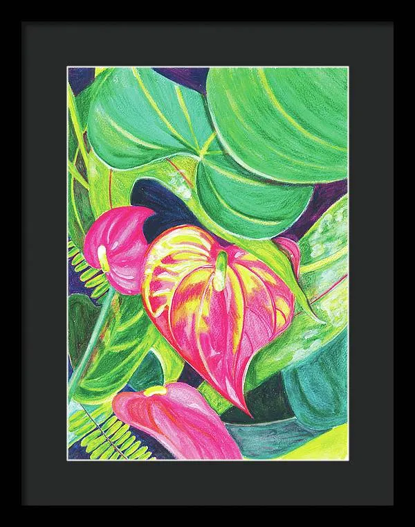 "Pink Anthurium" Popular Tropical Flower in Hawaii - Framed Print