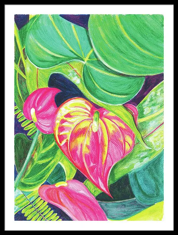 "Pink Anthurium" Popular Tropical Flower in Hawaii - Framed Print