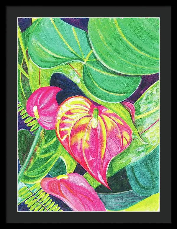 "Pink Anthurium" Popular Tropical Flower in Hawaii - Framed Print