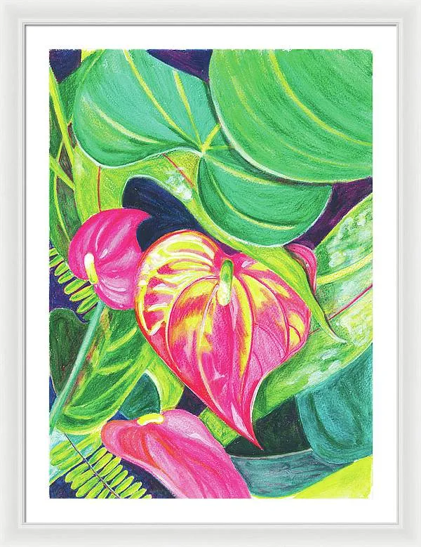 "Pink Anthurium" Popular Tropical Flower in Hawaii - Framed Print