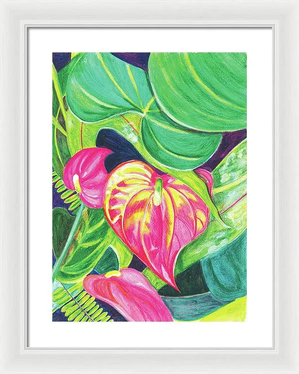 "Pink Anthurium" Popular Tropical Flower in Hawaii - Framed Print