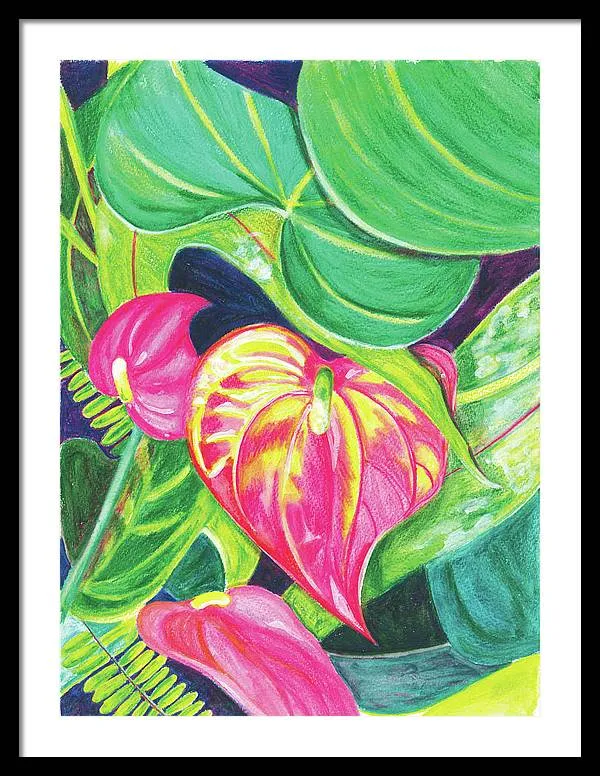 "Pink Anthurium" Popular Tropical Flower in Hawaii - Framed Print