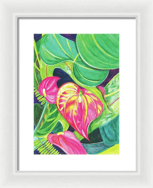"Pink Anthurium" Popular Tropical Flower in Hawaii - Framed Print