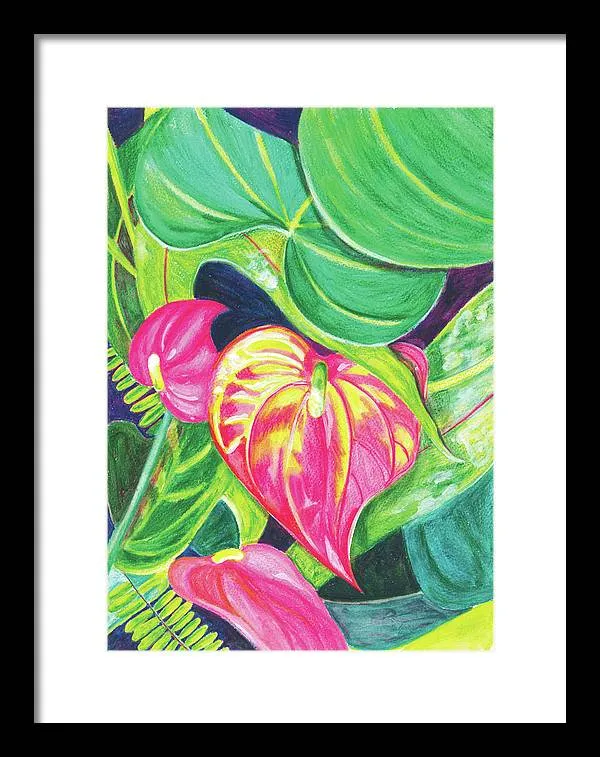 "Pink Anthurium" Popular Tropical Flower in Hawaii - Framed Print