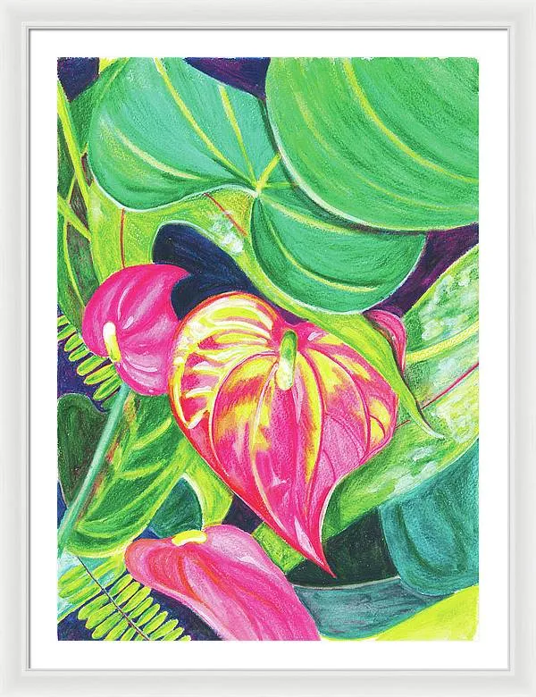 "Pink Anthurium" Popular Tropical Flower in Hawaii - Framed Print