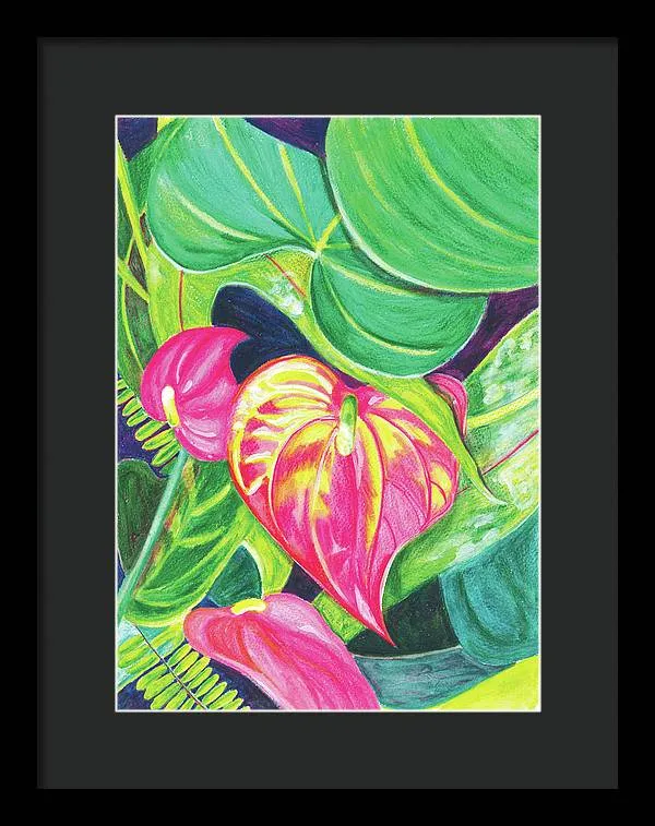 "Pink Anthurium" Popular Tropical Flower in Hawaii - Framed Print