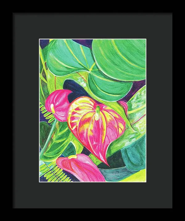 "Pink Anthurium" Popular Tropical Flower in Hawaii - Framed Print