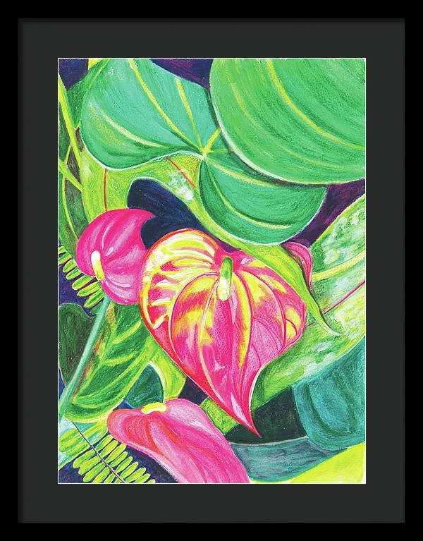 "Pink Anthurium" Popular Tropical Flower in Hawaii - Framed Print