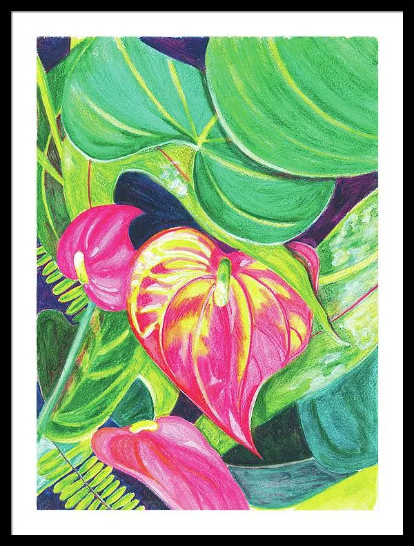 "Pink Anthurium" Popular Tropical Flower in Hawaii - Framed Print