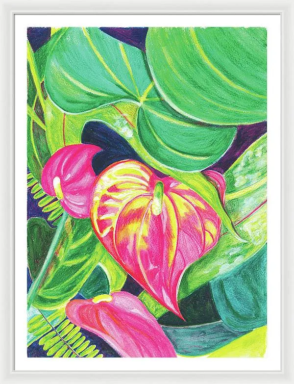 "Pink Anthurium" Popular Tropical Flower in Hawaii - Framed Print