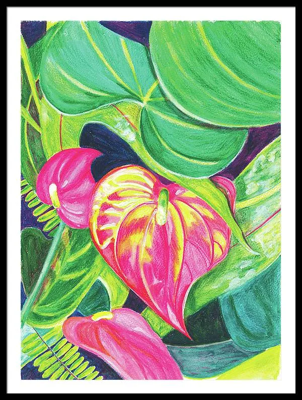 "Pink Anthurium" Popular Tropical Flower in Hawaii - Framed Print