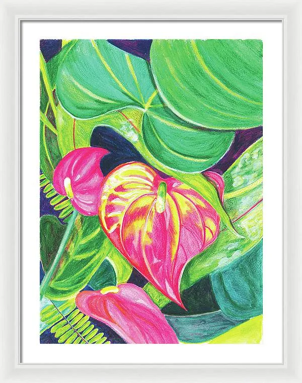 "Pink Anthurium" Popular Tropical Flower in Hawaii - Framed Print