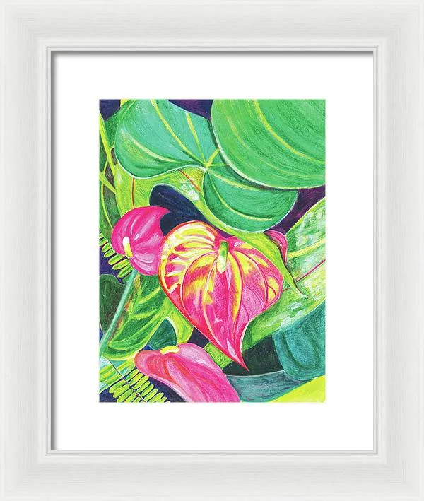 "Pink Anthurium" Popular Tropical Flower in Hawaii - Framed Print