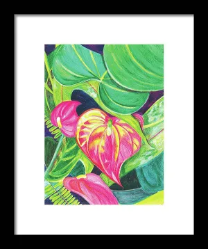 "Pink Anthurium" Popular Tropical Flower in Hawaii - Framed Print