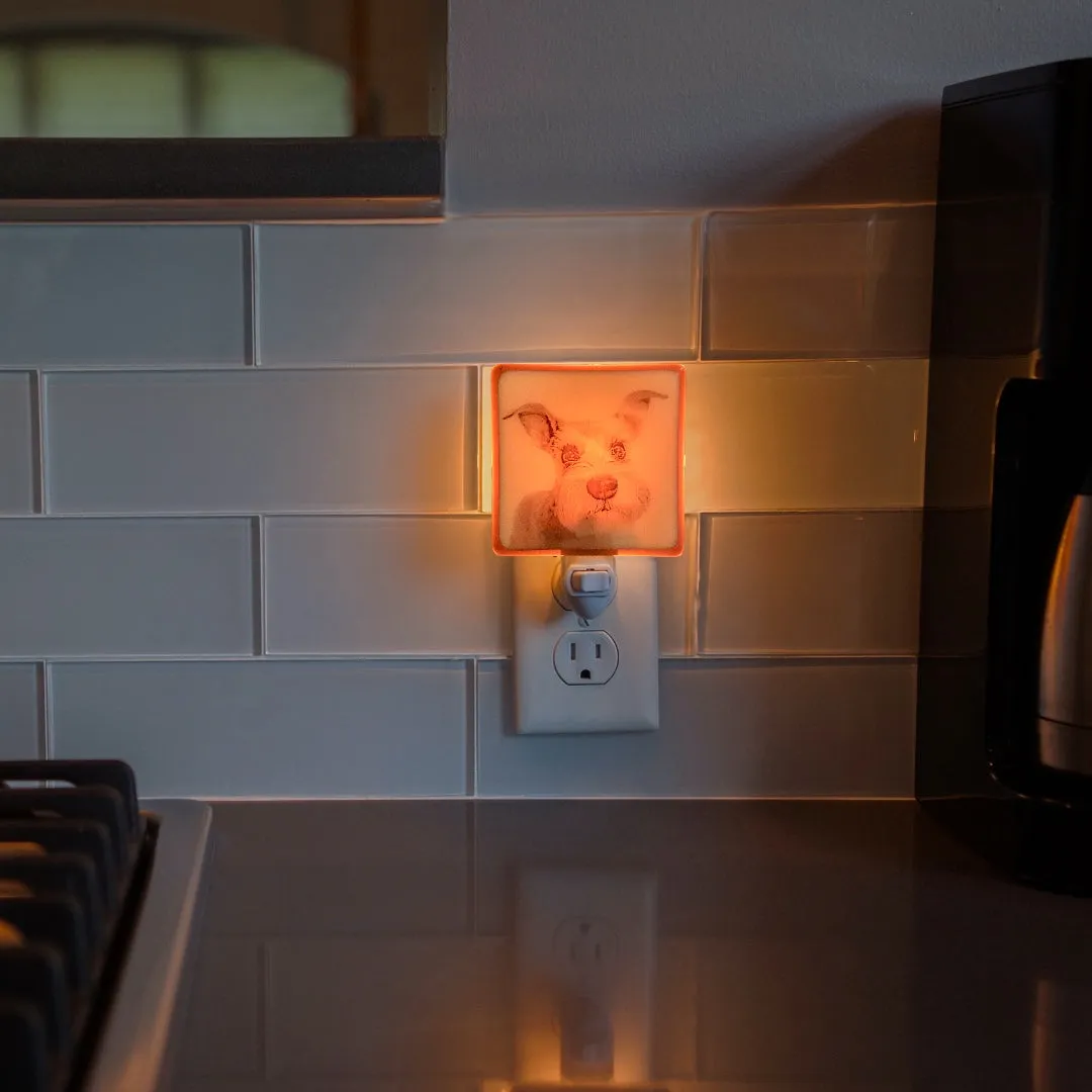 Schnauzer Night Light