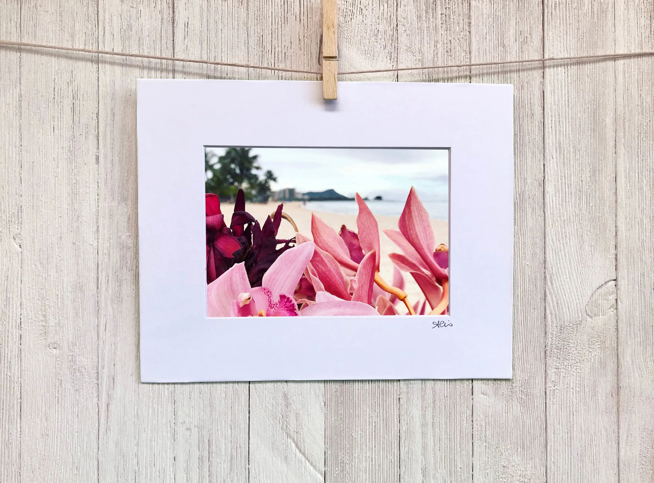 Set of 2: Diamond Head & Orchids Wall Art