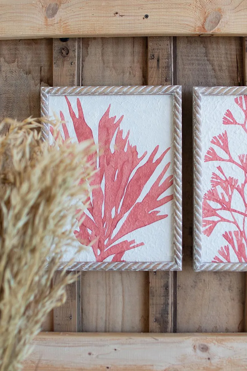 Set of 4 Coral Prints with Wooden Frames