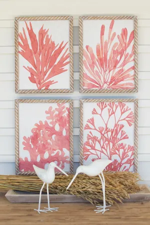 Set of 4 Coral Prints with Wooden Frames