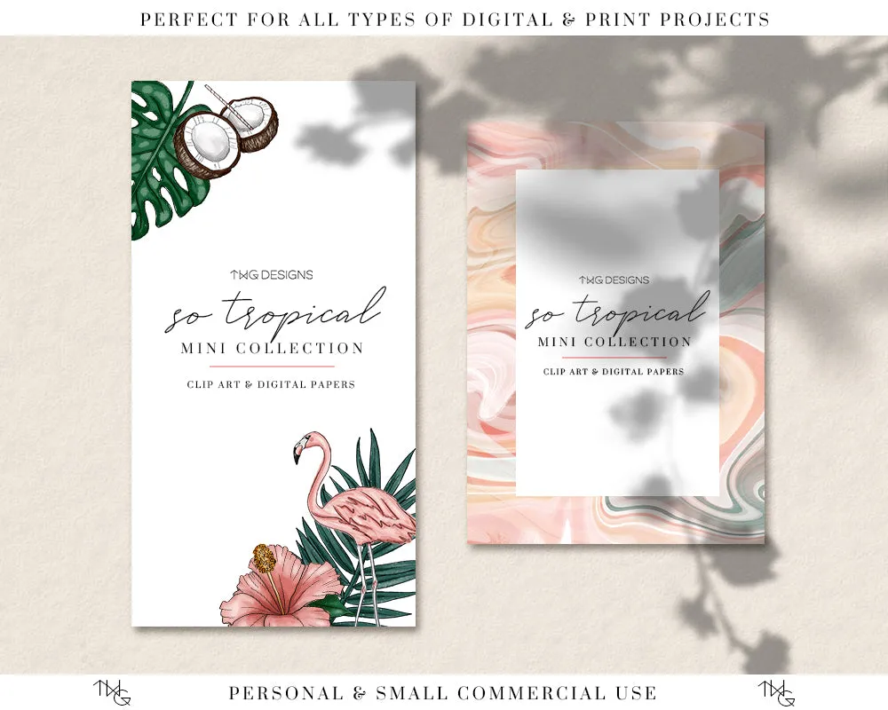 So Tropical Clipart   Pattern Bundle