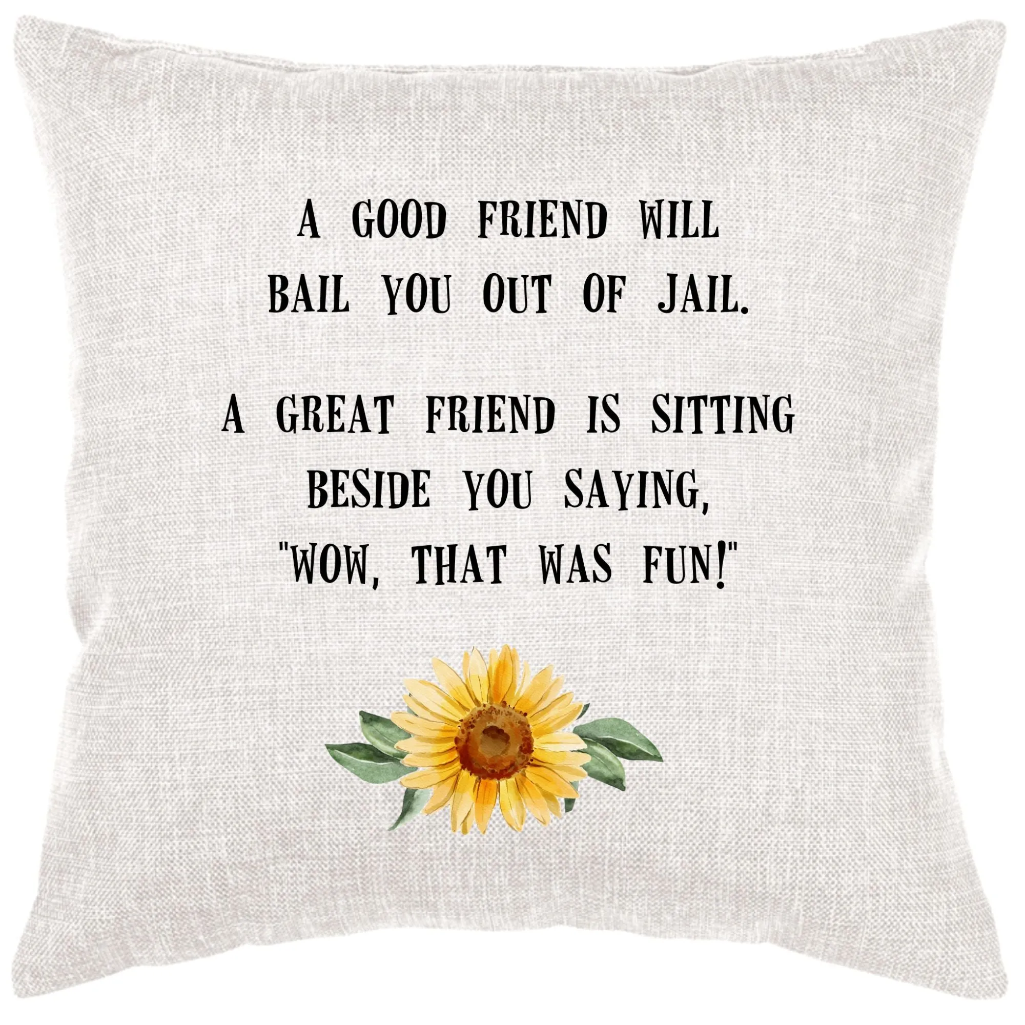 That Was Fun Pillow Cover