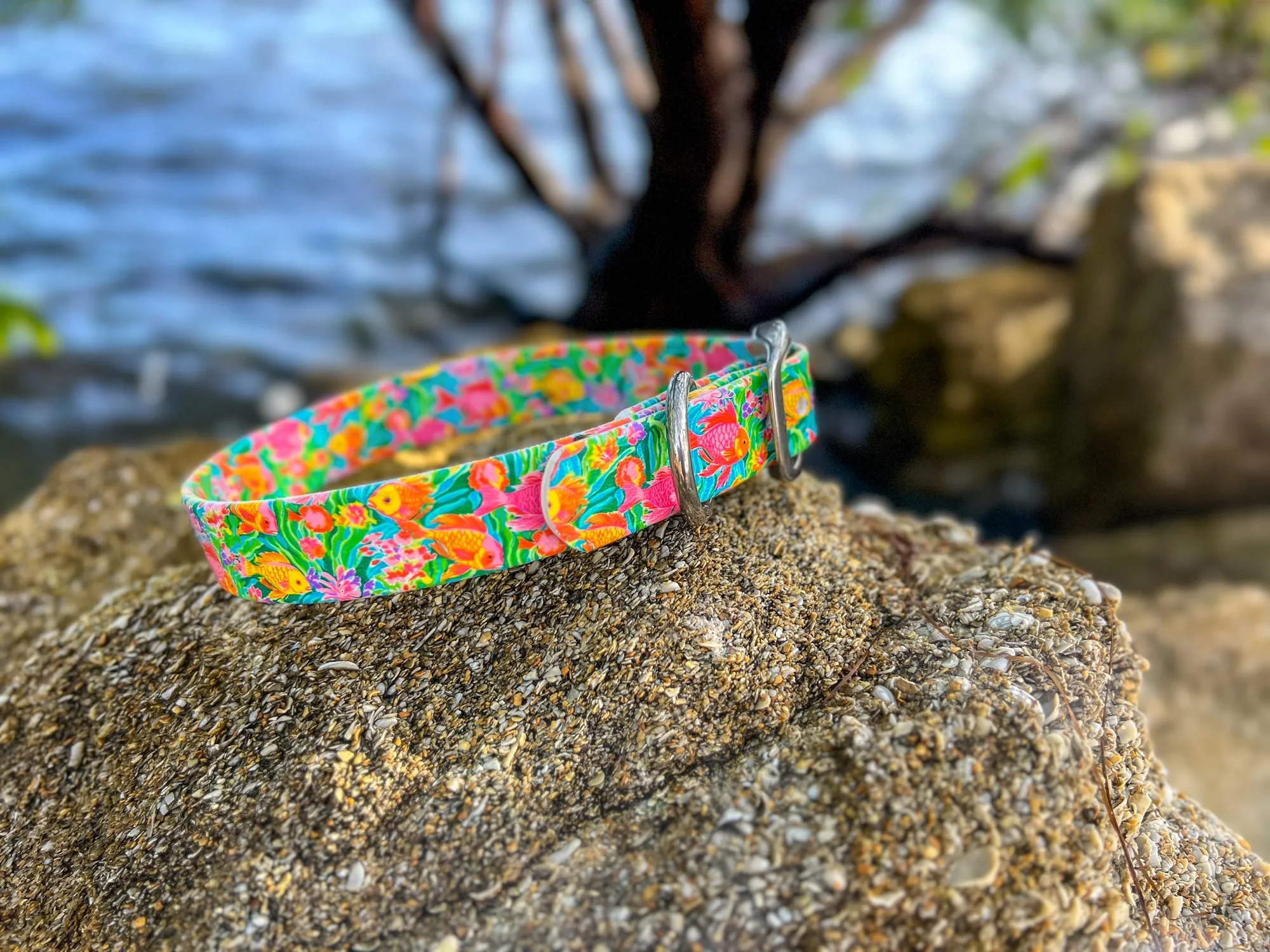 Tropical Fish BioThane® Collar