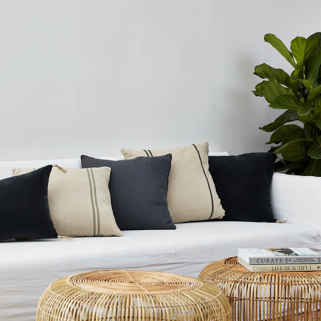 Urban Oasis Anika Square Cushion Jet