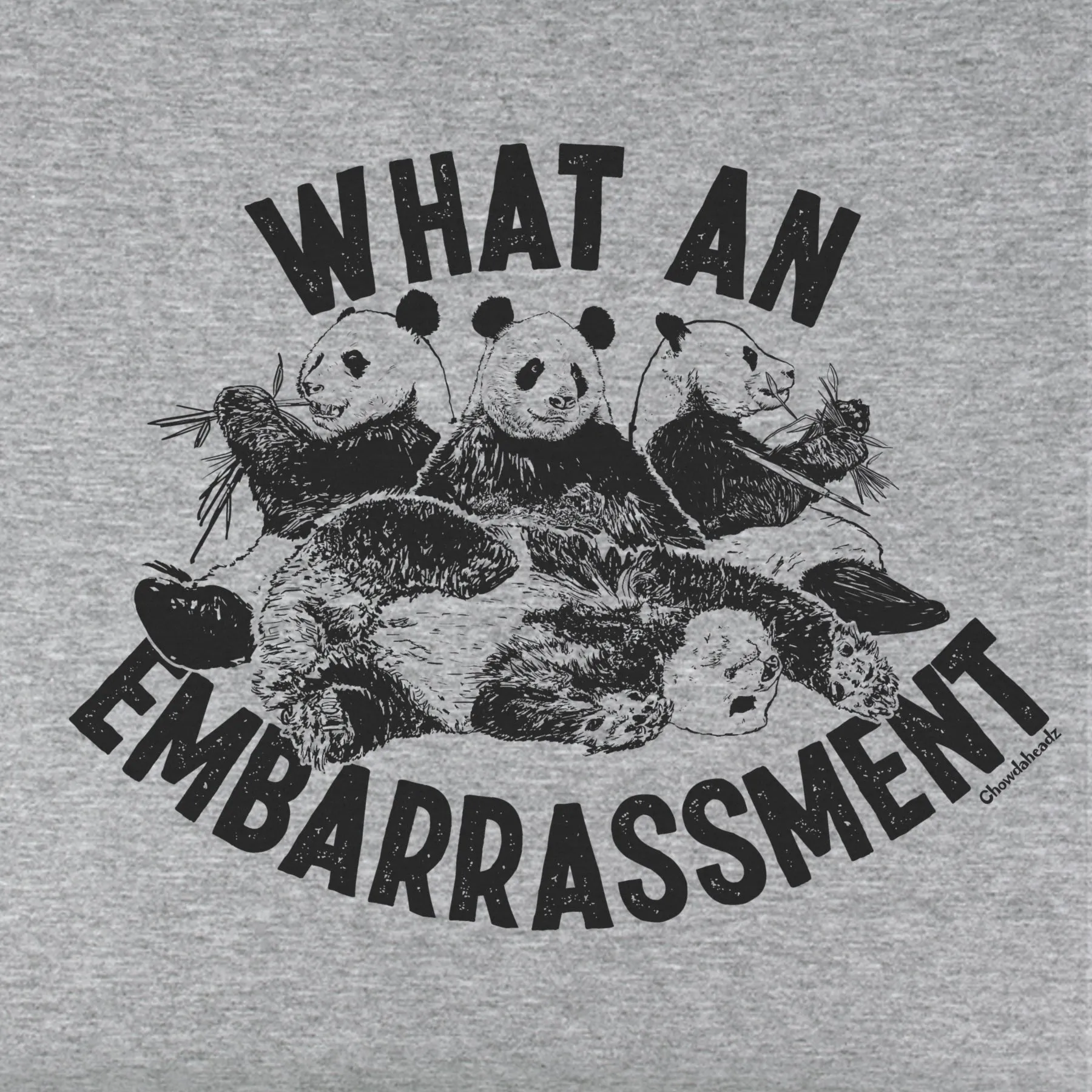 What An Embarrassment Youth Hoodie