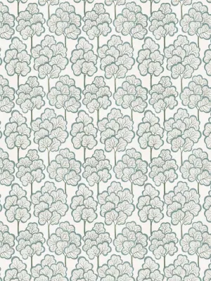 Zahara - Eucalyptus